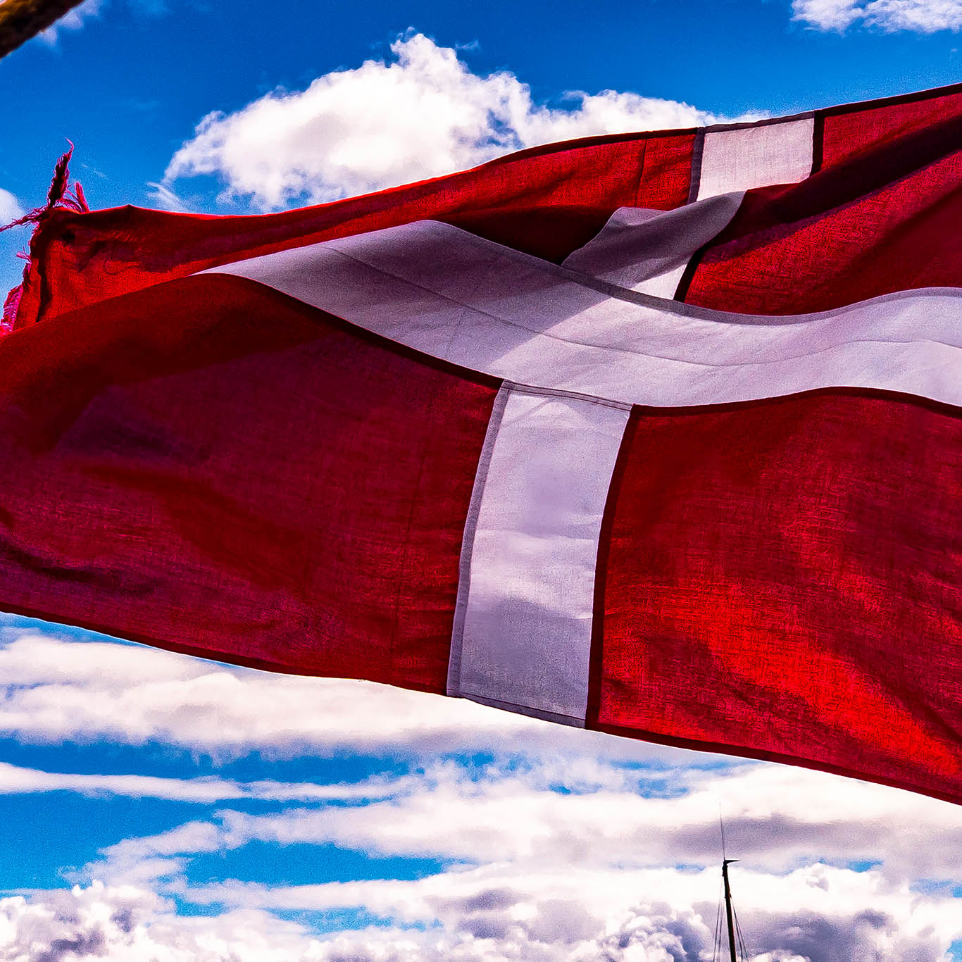 Dannebrog hinter der Fähre im Winde